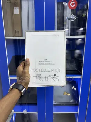 Apple iPad Pro 11 (2022) 256 GB Gray