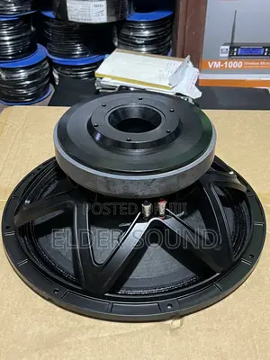 15” Naked Speaker 100coil 220magnet