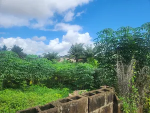 1300m2 Land for Sale at Oloruntedo Estate Near Akuru Off Akala Express