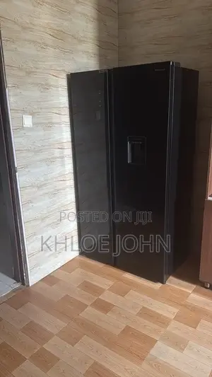 Hisense Double Door Fridge