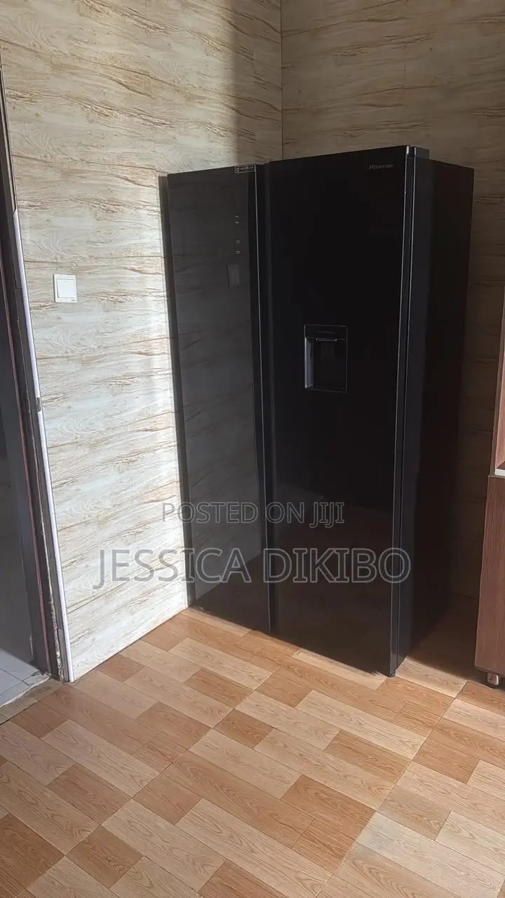 Hisense Double Door Fridge