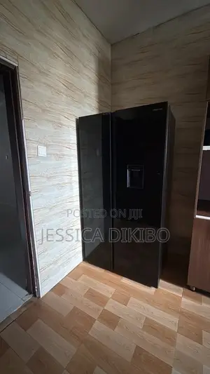 Hisense Double Door Fridge