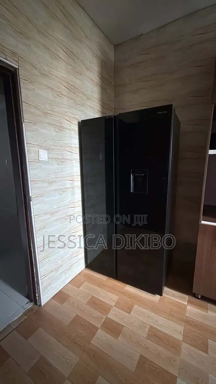 Hisense Double Door Fridge