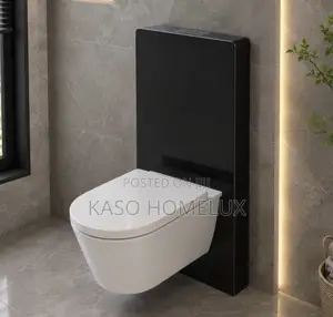 Concealed Cistern(WC)