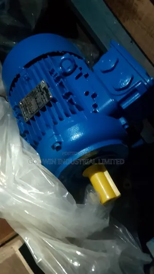 Weg Electric Motor