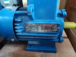 Explosion Proof Motor