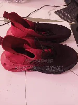 Shoe Sneaker