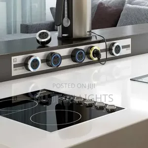 Track Socket With 2 Plug