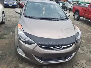 Hyundai Elantra 2014 Brown