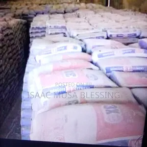 Dangote Mangal and Others Cement