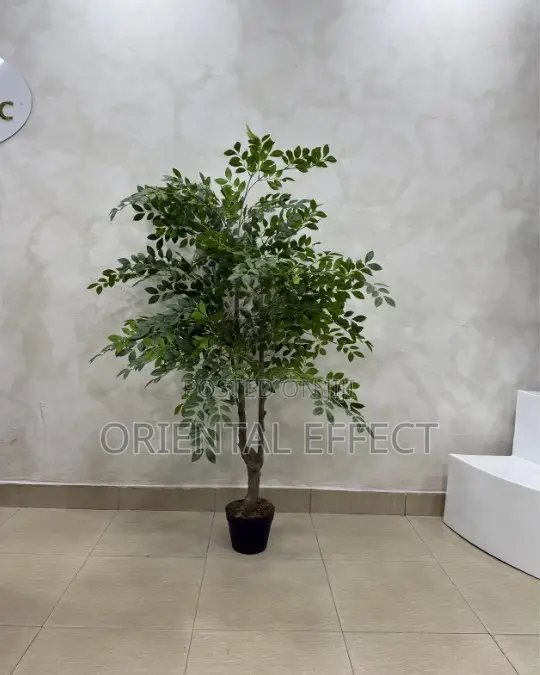 Artificial Elm Seed Tree 160cm |Artificial Indoor Plant for Home Décor