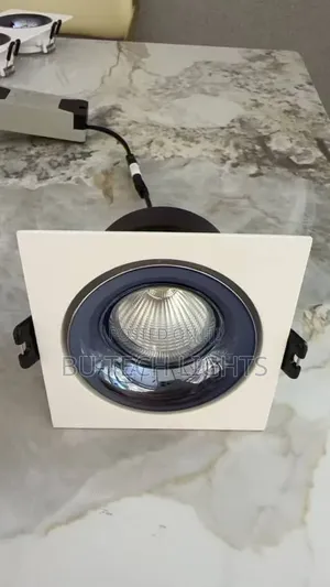 12w Indoor COB Ceiling Downlight