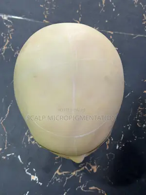 Flesh Plastic Female Head Display Mannequin