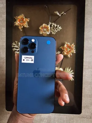 Apple iPhone 12 Pro Max 256 GB Blue