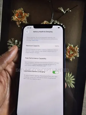 Apple iPhone 12 Pro Max 256 GB Blue