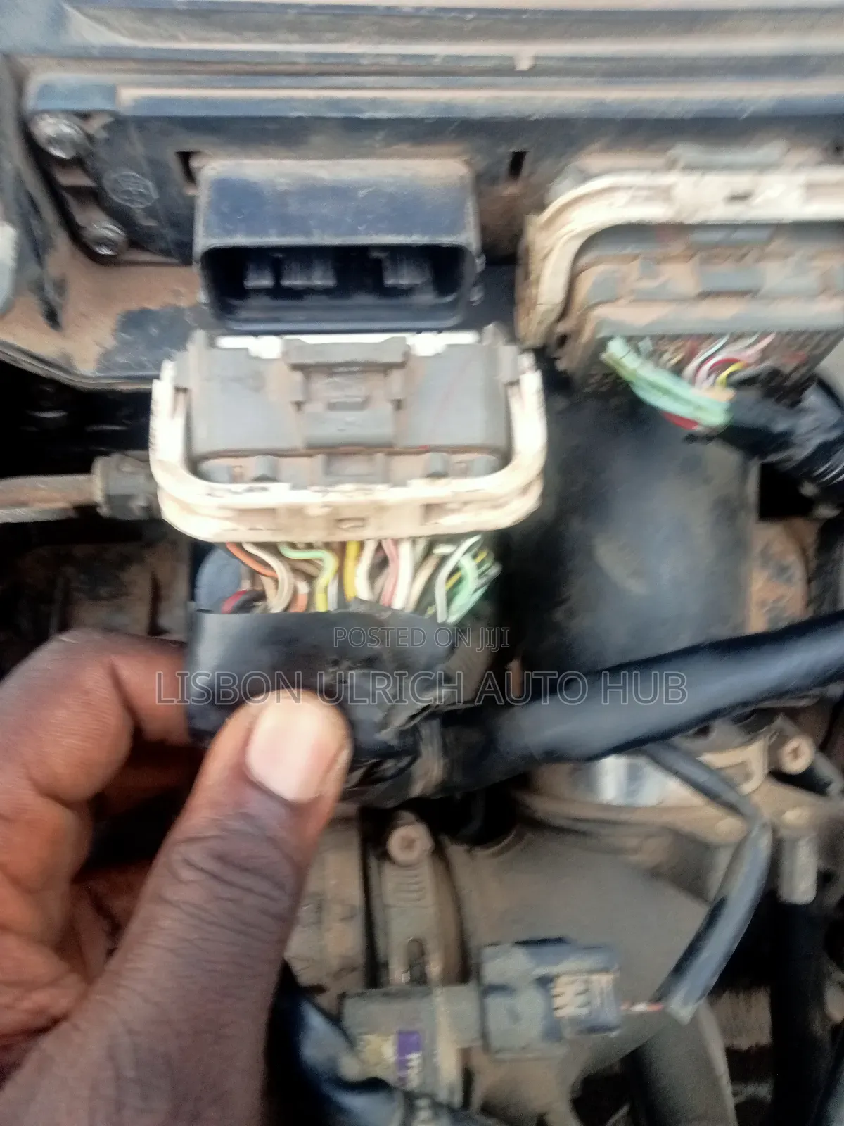 Vehicle Diagnosis and Programming and Electrical Repairs