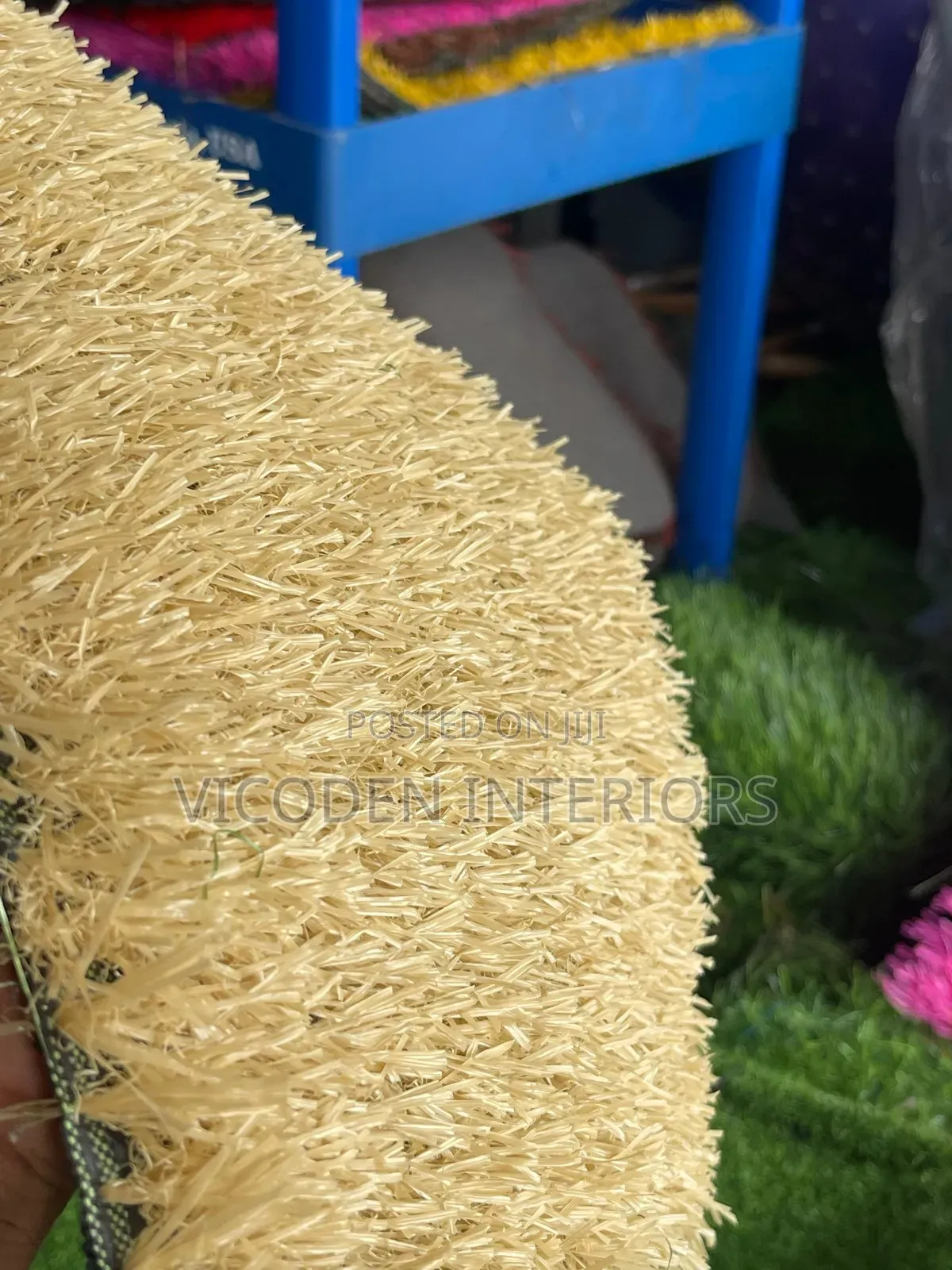 Beige Colour Grass