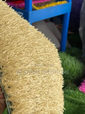 Beige Colour Grass
