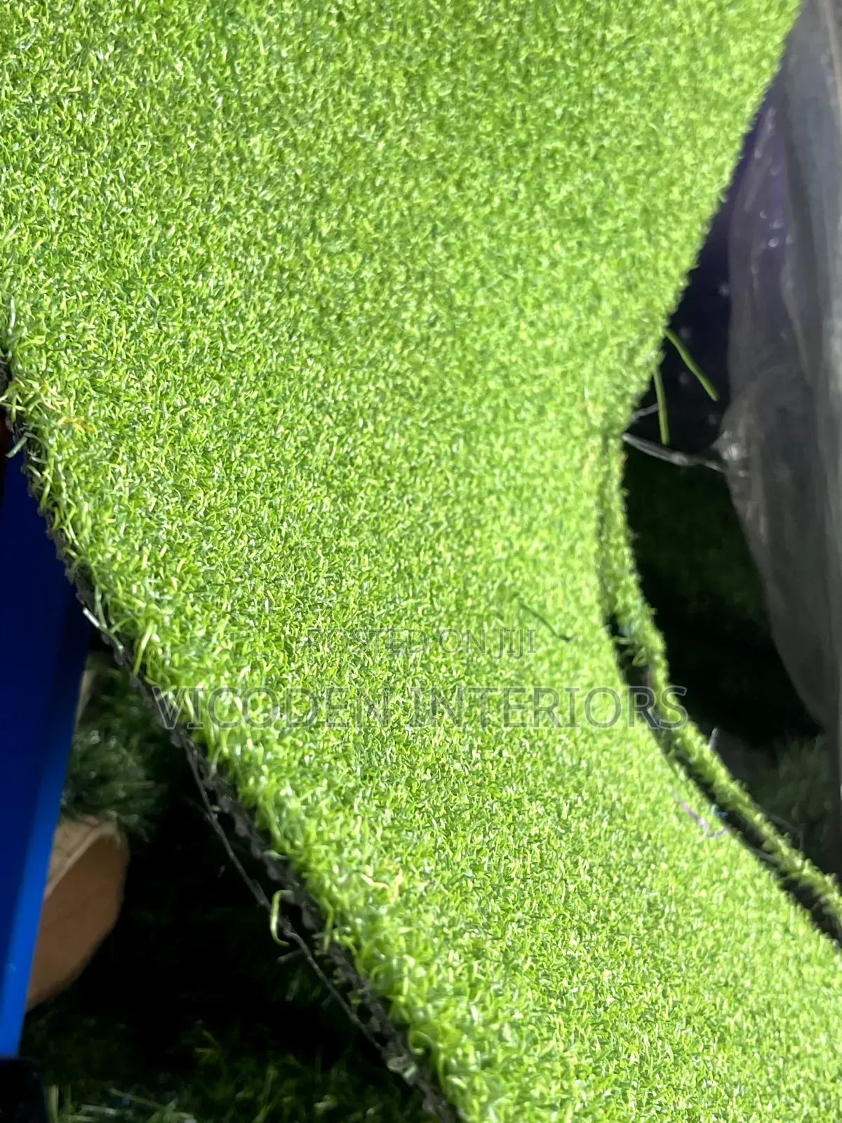 Golf Grass