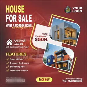 Professional Flyer Designs