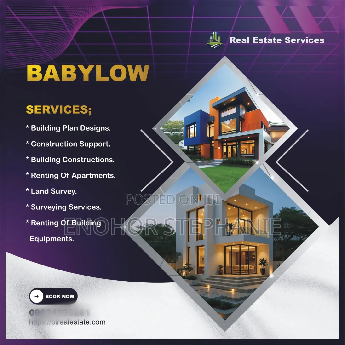 Professional Flyer Designs