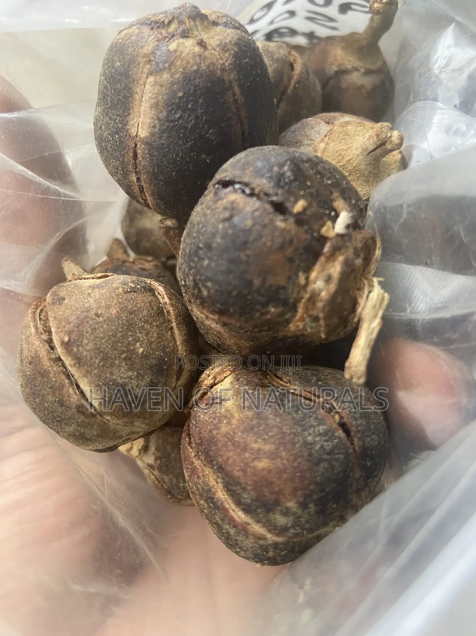Goron Tula - 50 Fruits
