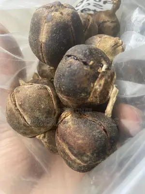 Goron Tula - 50 Fruits