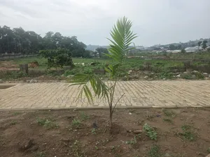 5,000 SQM on Tarred Road, Katampe Main