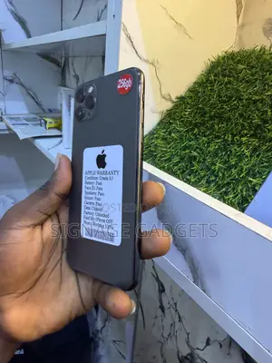 Apple iPhone 11 Pro Max 256 GB Gray