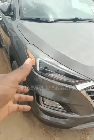 Tucson 2018 Model Engine Protector