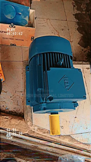 Vem Electric Motor Low Speed