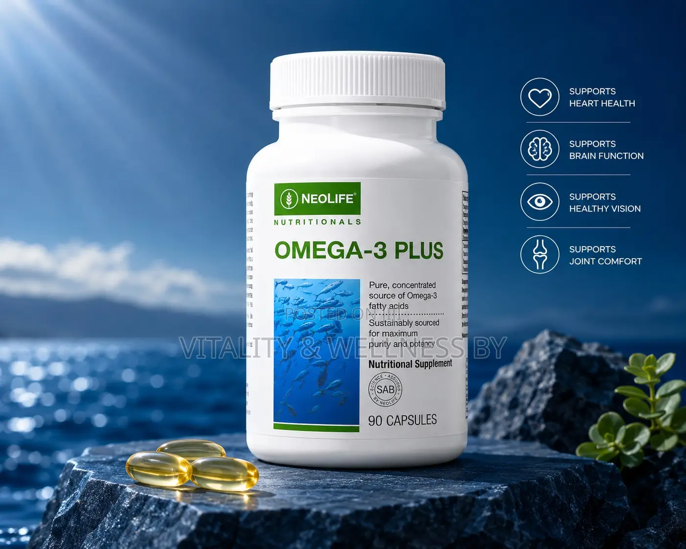 Omega 3 Plus Fish Oil Supplement 90 Capsules