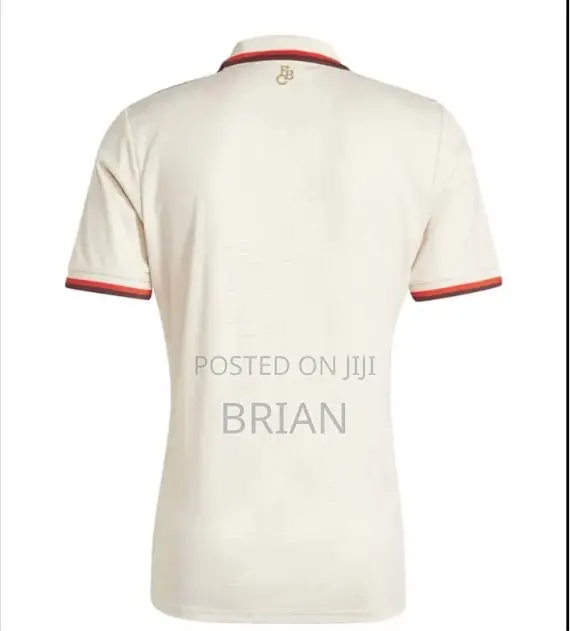 Bayern Munich 2024/25Third Kits Jersey