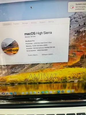 Laptop Apple MacBook 2010 6GB Intel Pentium HDD 500GB