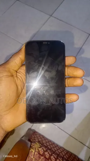 Apple iPhone 12 Pro Max 128 GB Blue