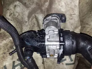 Audi Q8 Throttle Mouth