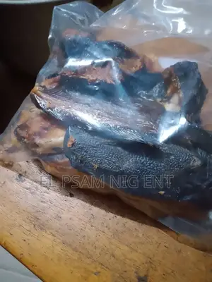 EL-PSAM Oven Dried Cat Fish