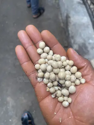 30 Big Painta Okpa