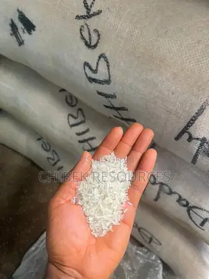 30 Big Painta Minna Seed Rice