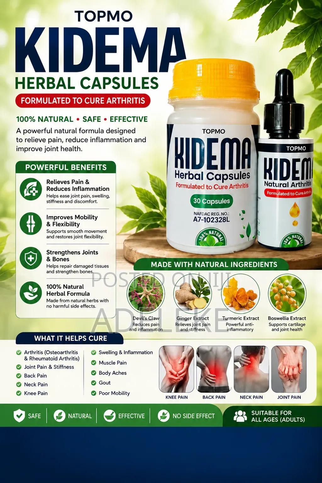 Kidema Herbal Capsule