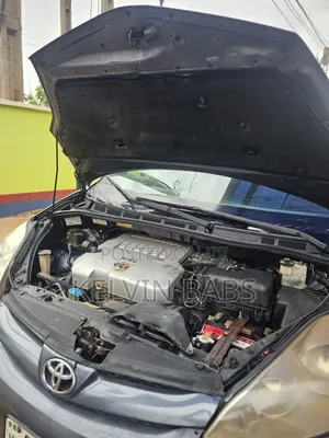Toyota Sienna LE 2009 Gray