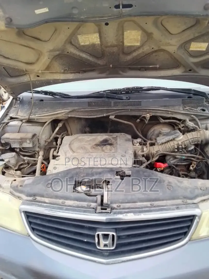 Honda Odyssey 2004 Gray