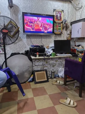 Television