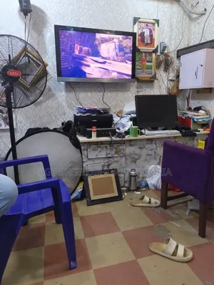 Television