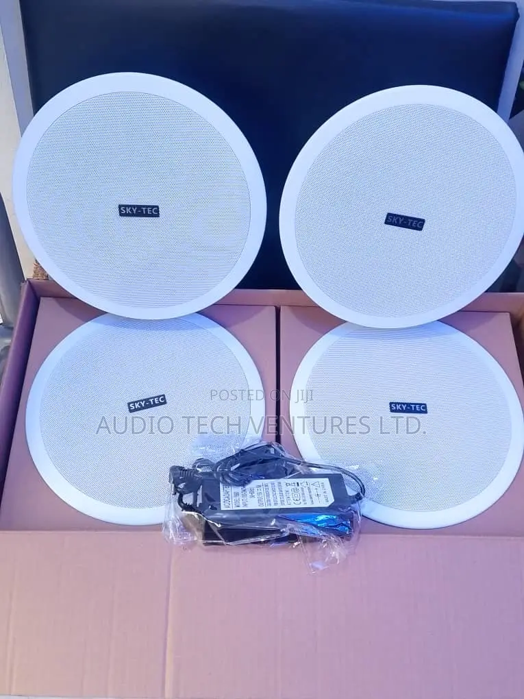 Sky Tec Bluetooth 4 in 1 Celling Speaker 30w