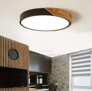 LED Modern Indoor Ceiling Lighting White Warm Color