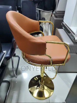 Salon Swivel Chair