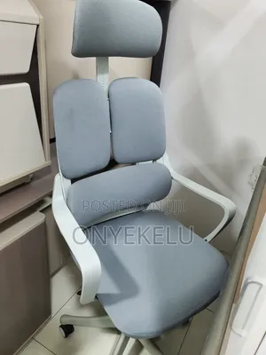 Executive Swivel Chair With Back Support