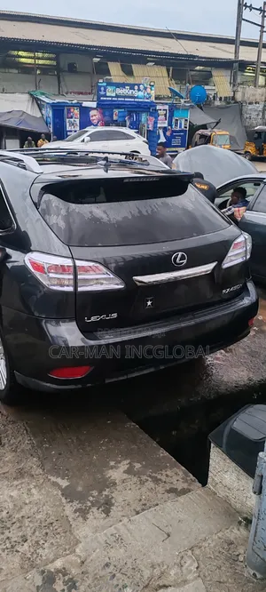 Lexus RX 2010 Gray