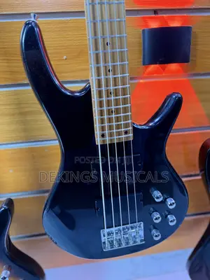 Professional Deviser Active Bass 5 Strings Guitar